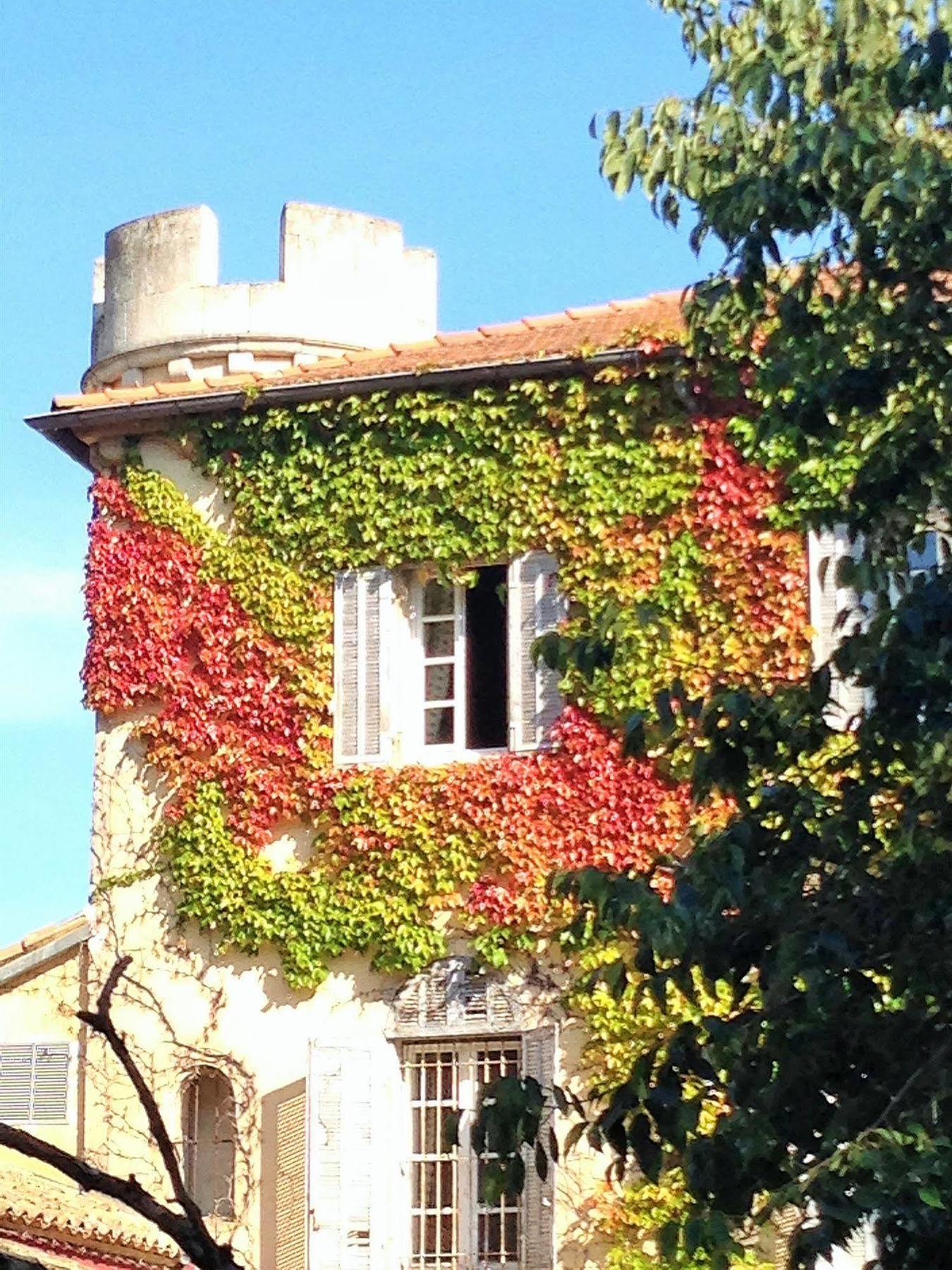 Hostellerie De L'Abbaye De Frigolet 格拉沃松 外观 照片